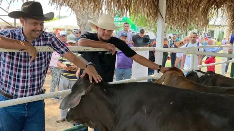 Expoferia Agroindustrial Proachaguas exhibe potencial ganadero de Apure